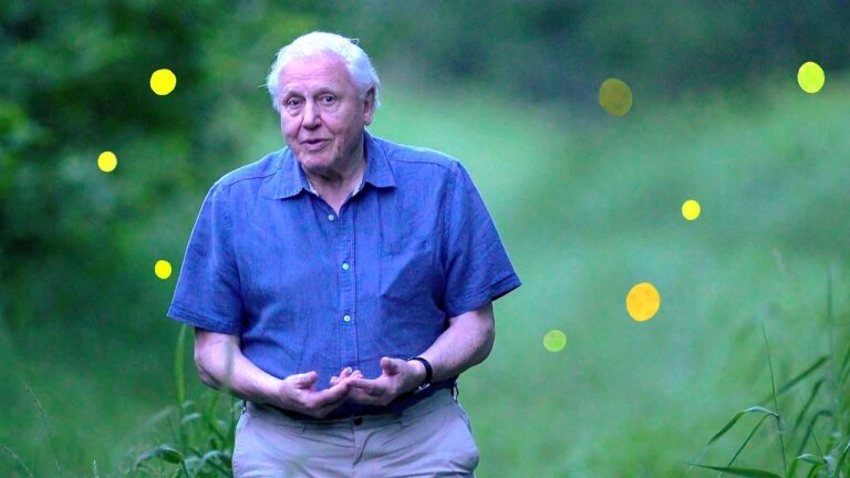 Attenborough's Life That Glows Cały Film