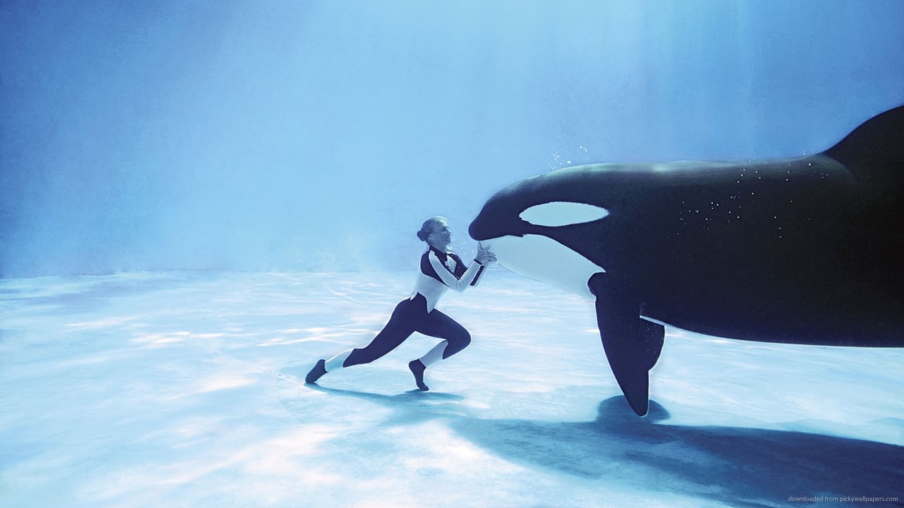 Blackfish Cały Film