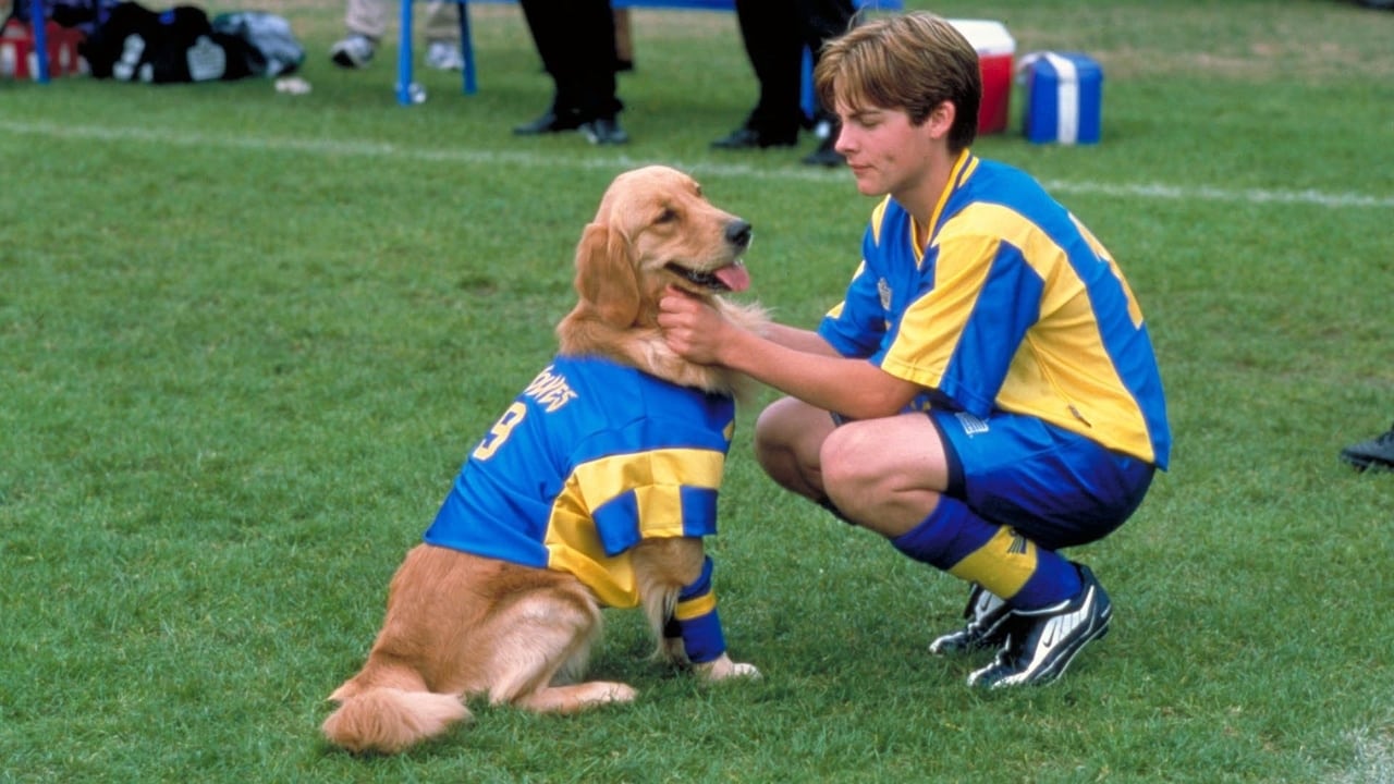 Buddy - pies na gole Cały Film