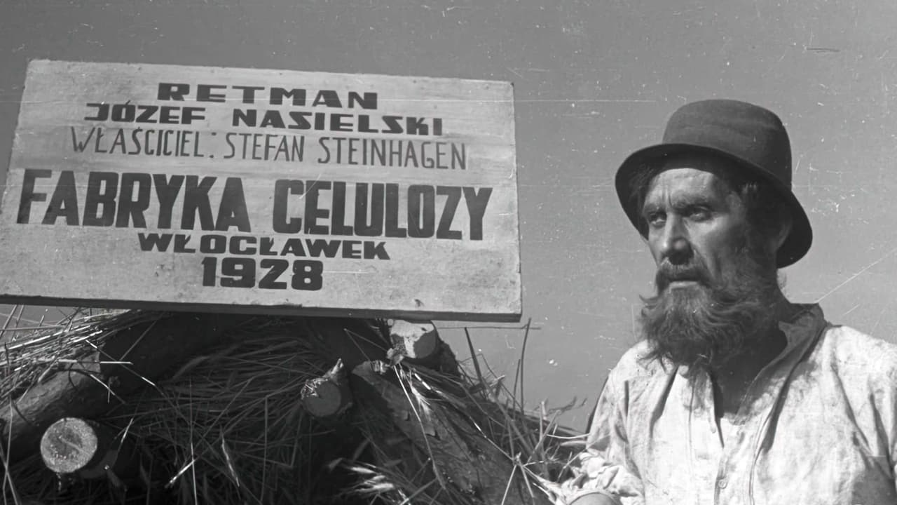 Celuloza Cały Film