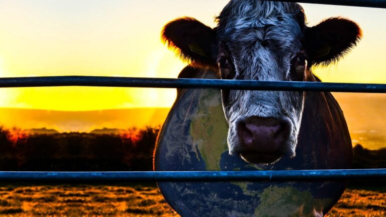 Cowspiracy: tajemnica równowagi ekologicznej środowiska Cały Film