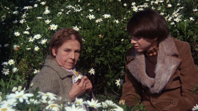 Harold i Maude Cały Film