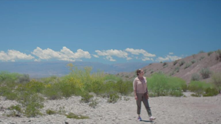 La novia del desierto Cały Film