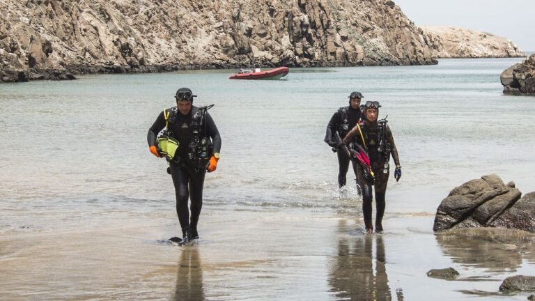 Pacificum: Powrót do oceanu Cały Film