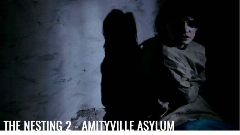 The Amityville Asylum Cały Film